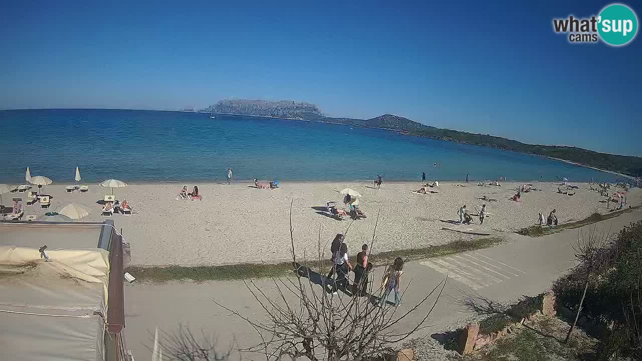 La webcam spiaggia Pittulongu vicino Olbia – Sardegna
