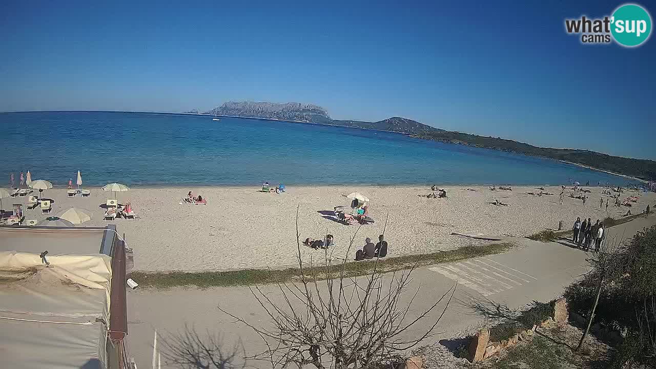 Plaža Pittulongu uživo web kamera Olbia – Sardinija – Italija