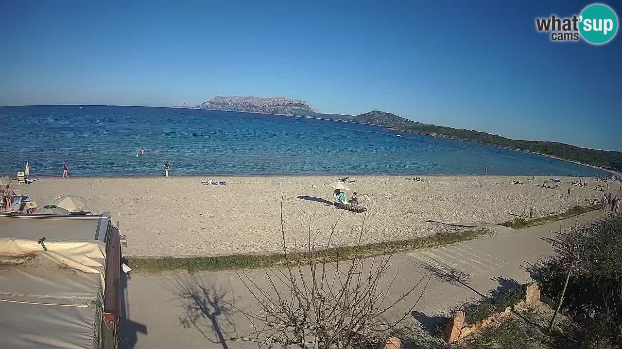 La plage de Pittulongu en direct webcam Olbia – Sardaigne – Italie