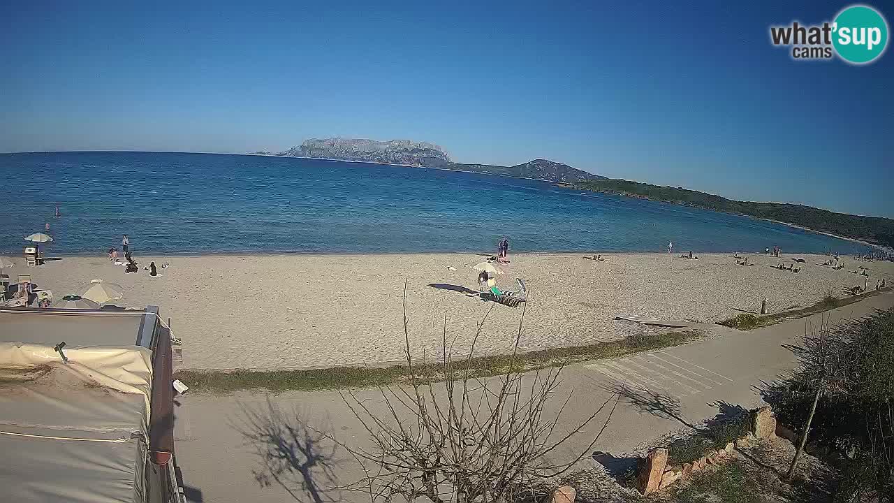 Plaža Pittulongu uživo web kamera Olbia – Sardinija – Italija