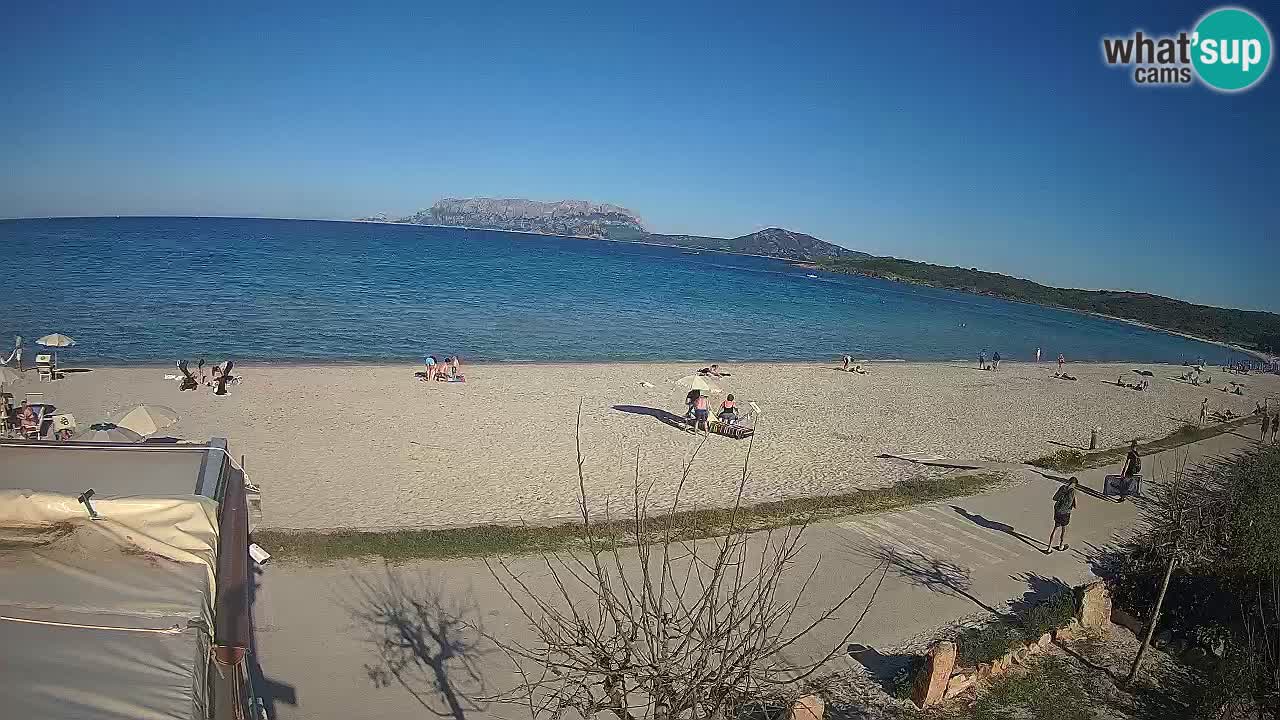 The beach of Pittulongu live webcam Olbia – Sardinia – Italy
