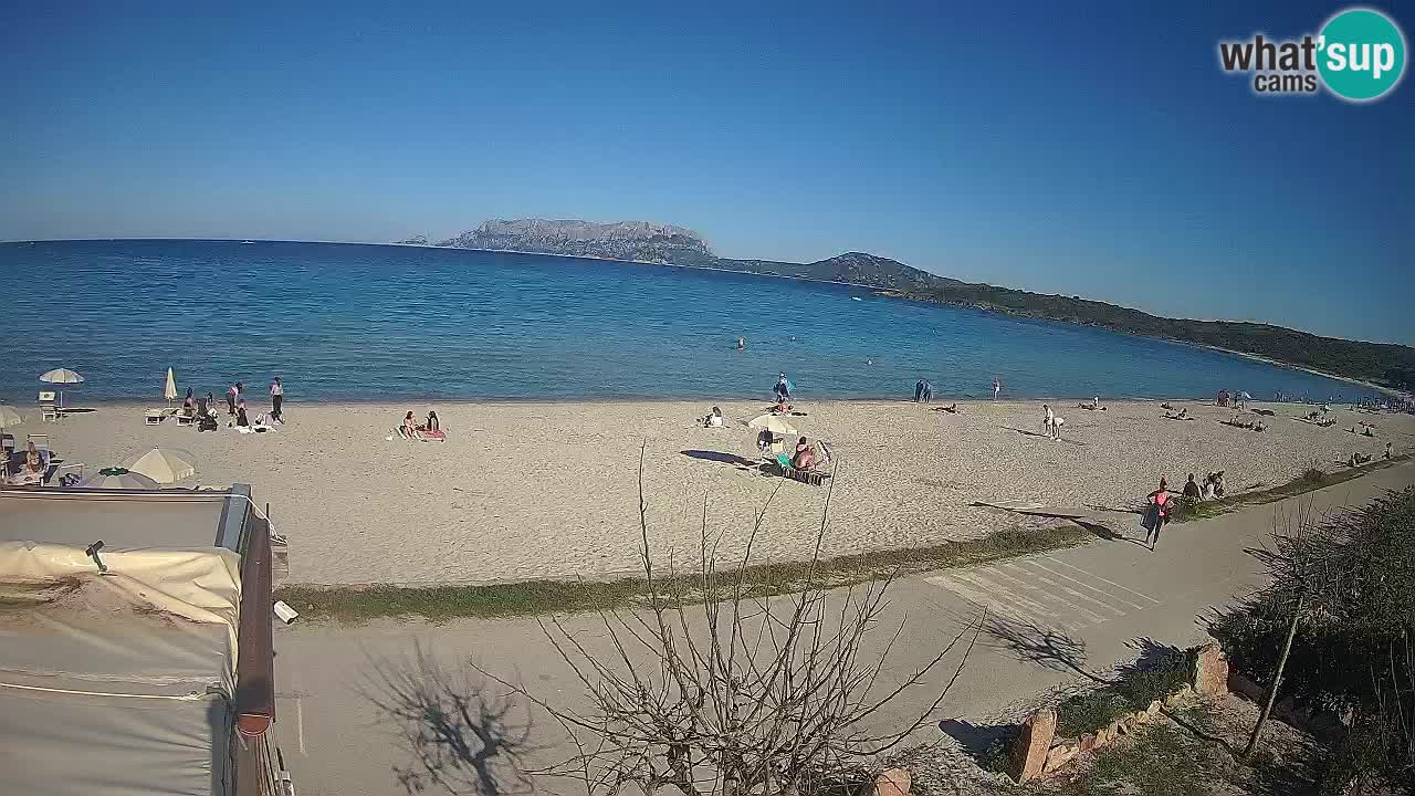 The beach of Pittulongu live webcam Olbia – Sardinia – Italy