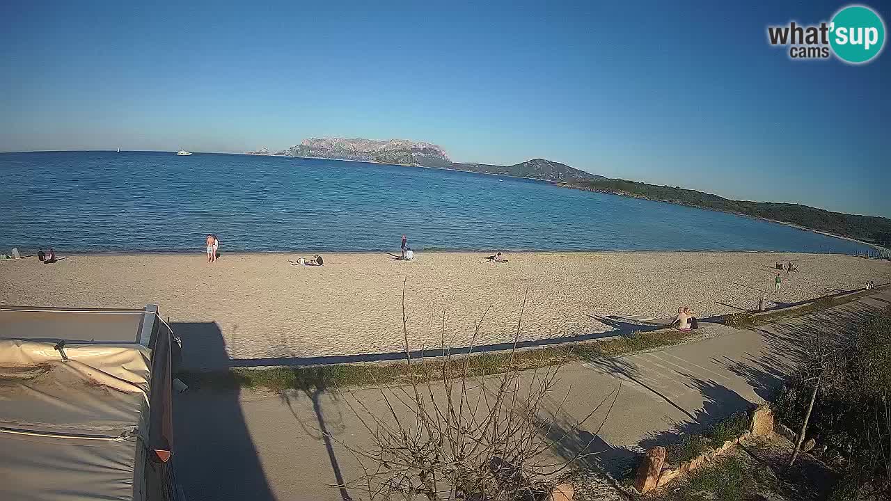 Plaža Pittulongu spletna kamera v živo Olbia – Sardinija – Italija