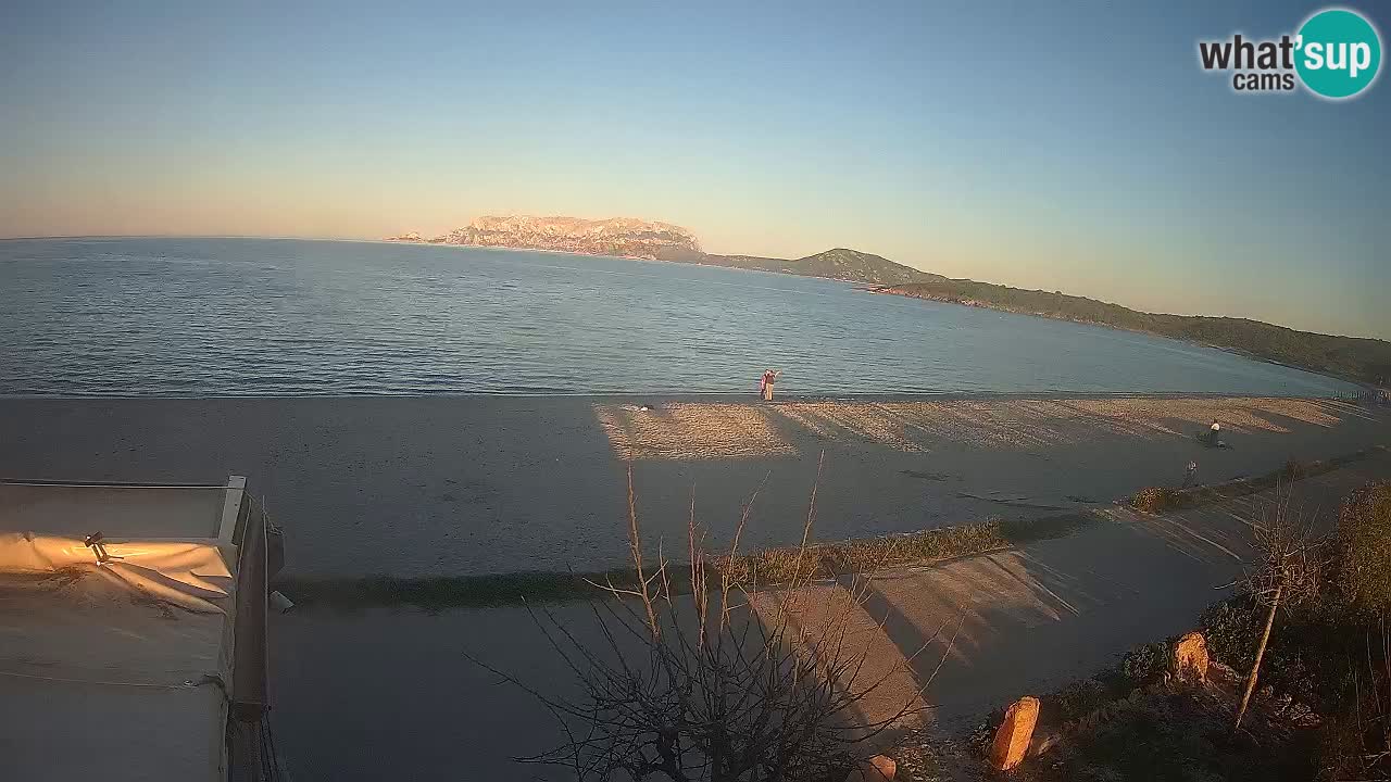Plaža Pittulongu spletna kamera v živo Olbia – Sardinija – Italija