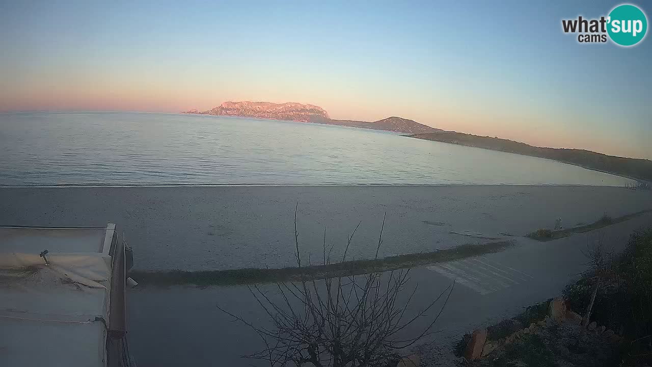 Der Strand von Pittulongu Live-Webcam Olbia – Sardinien – Italien