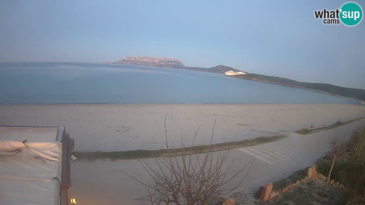 Der Strand von Pittulongu Live-Webcam Olbia – Sardinien – Italien