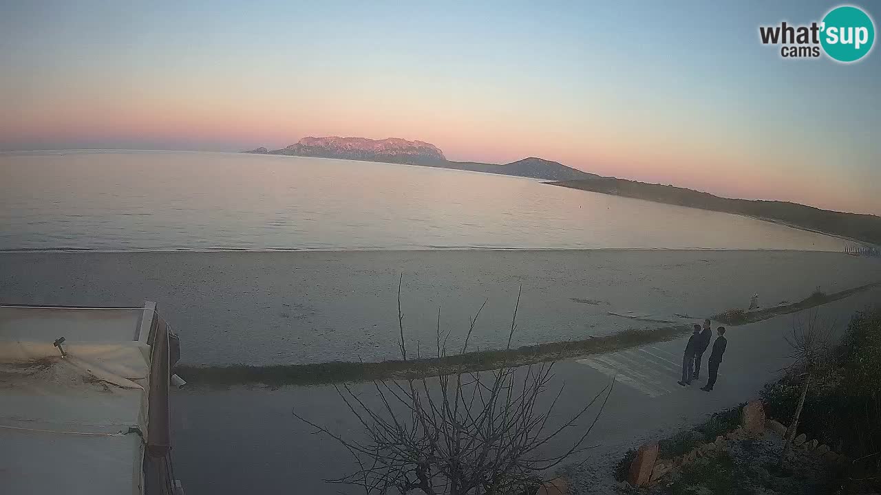La plage de Pittulongu en direct webcam Olbia – Sardaigne – Italie