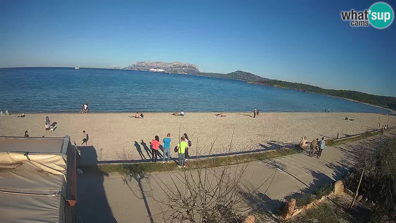 La playa de Pittulongu webcam en vivo Olbia – Cerdeña – Italia