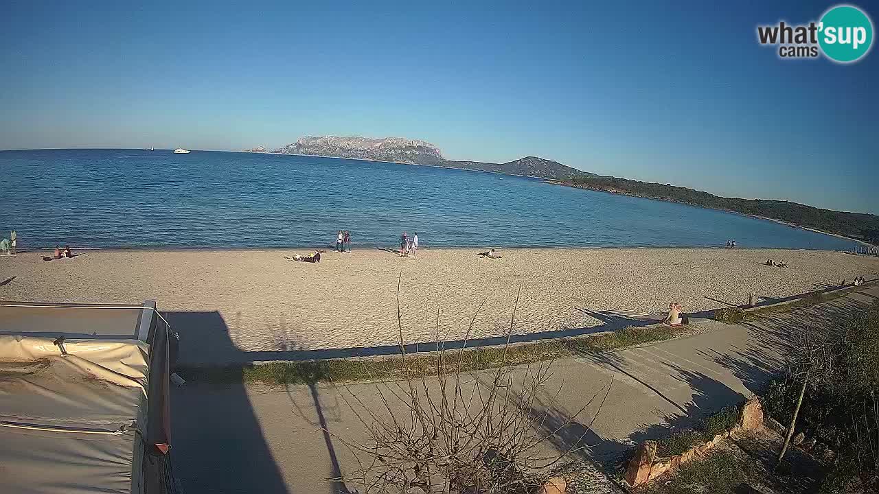 La plage de Pittulongu en direct webcam Olbia – Sardaigne – Italie