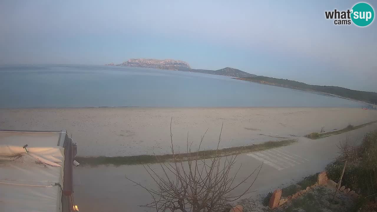 La webcam spiaggia Pittulongu vicino Olbia – Sardegna