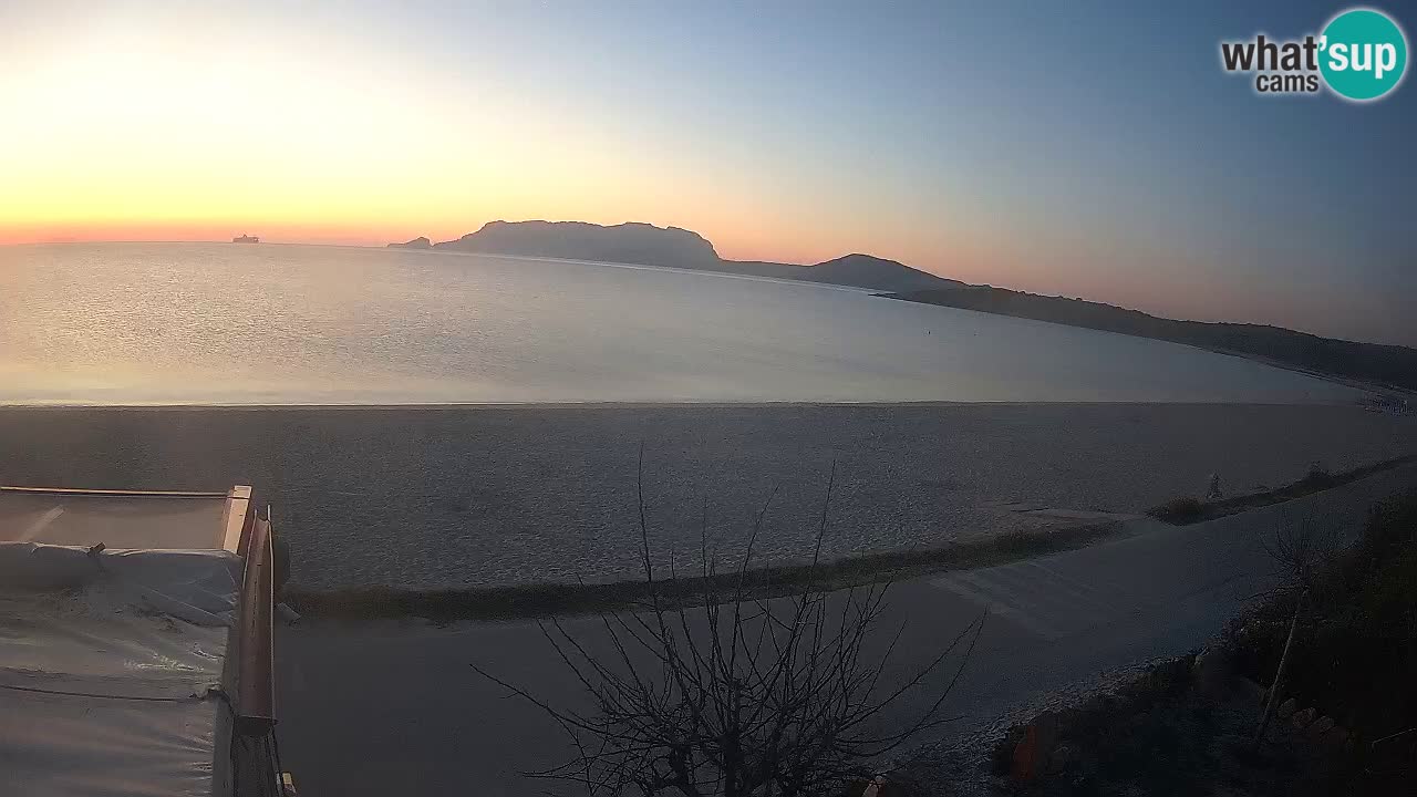 Plaža Pittulongu spletna kamera v živo Olbia – Sardinija – Italija