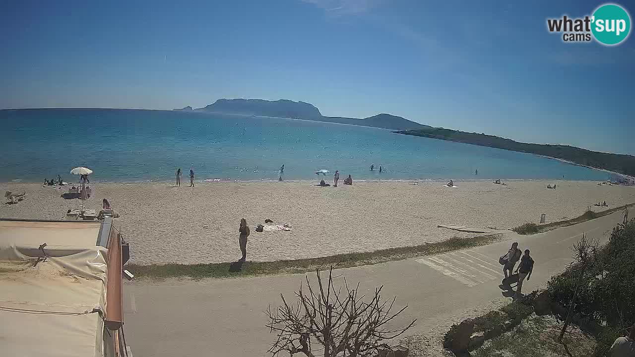 La playa de Pittulongu webcam en vivo Olbia – Cerdeña – Italia