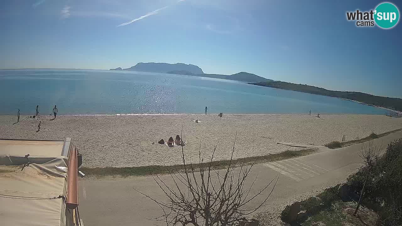 Plaža Pittulongu uživo web kamera Olbia – Sardinija – Italija