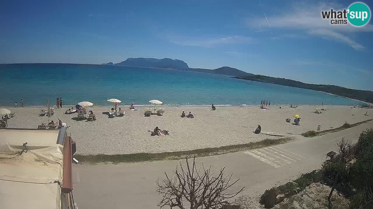 The beach of Pittulongu live webcam Olbia – Sardinia – Italy
