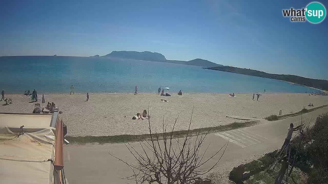 The beach of Pittulongu live webcam Olbia – Sardinia – Italy