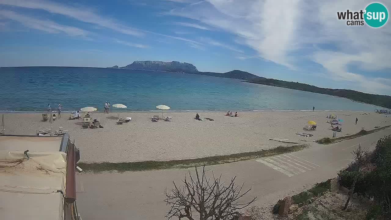 The beach of Pittulongu live webcam Olbia – Sardinia – Italy