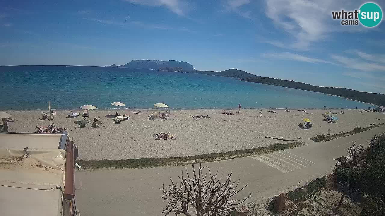 The beach of Pittulongu live webcam Olbia – Sardinia – Italy