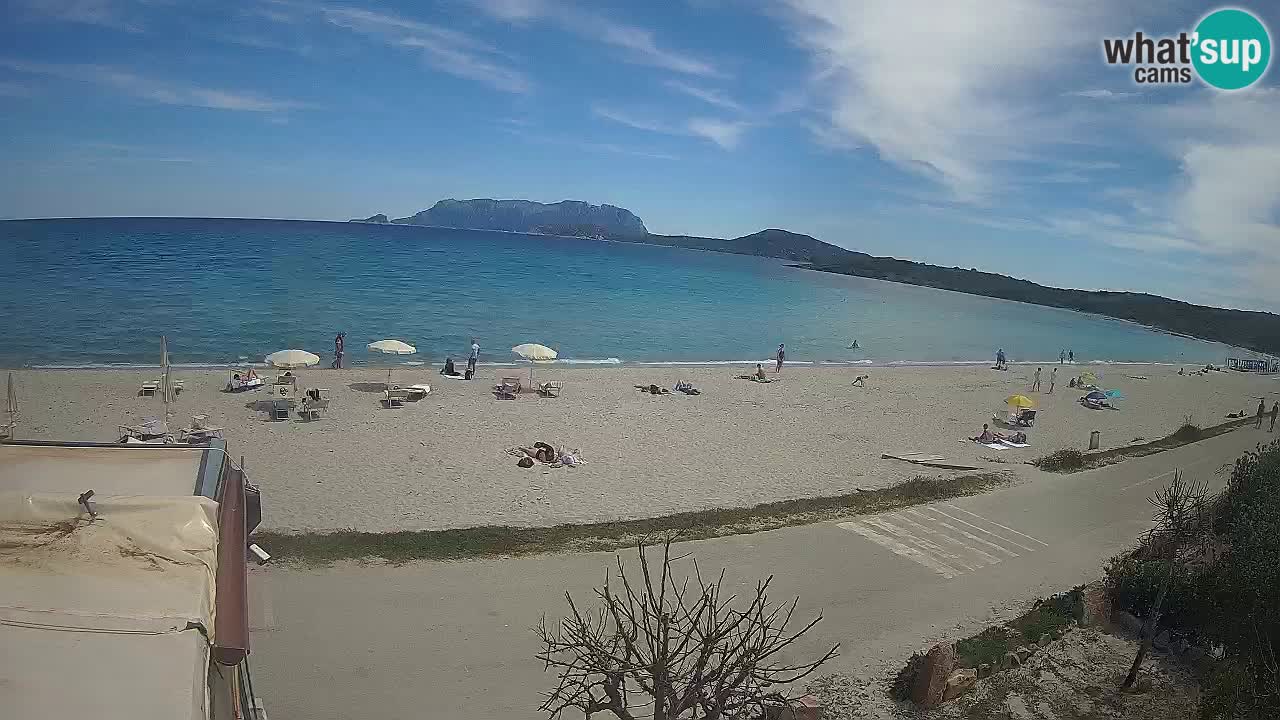 The beach of Pittulongu live webcam Olbia – Sardinia – Italy