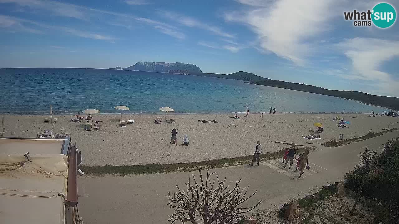 Der Strand von Pittulongu Live-Webcam Olbia – Sardinien – Italien