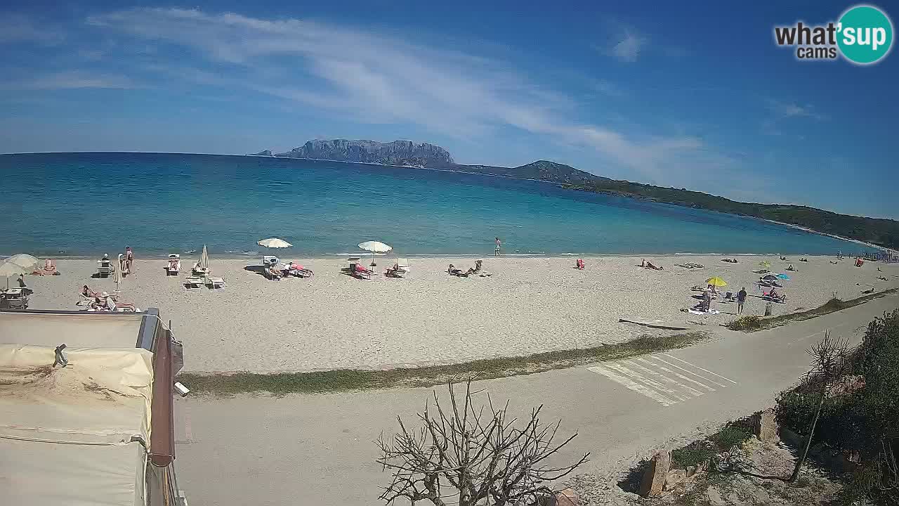La playa de Pittulongu webcam en vivo Olbia – Cerdeña – Italia