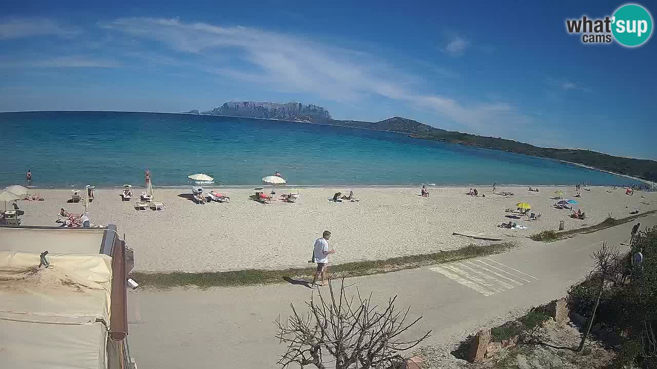 La plage de Pittulongu en direct webcam Olbia – Sardaigne – Italie