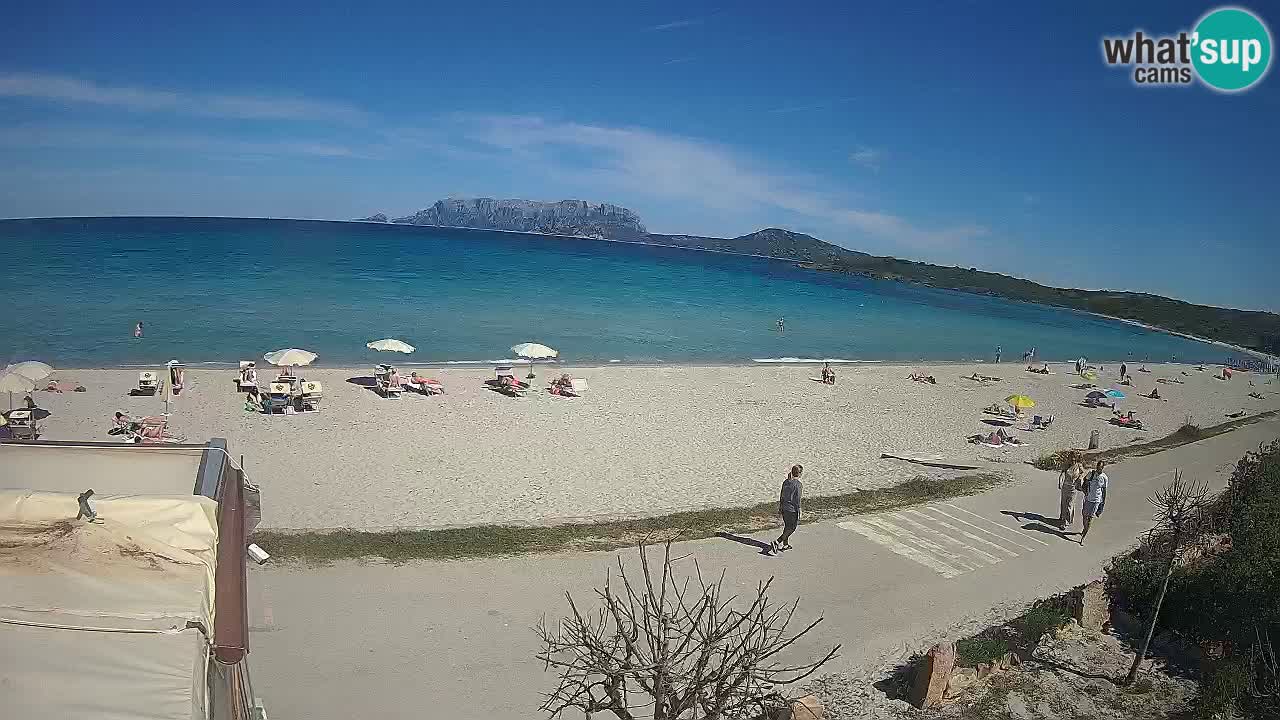 La plage de Pittulongu en direct webcam Olbia – Sardaigne – Italie