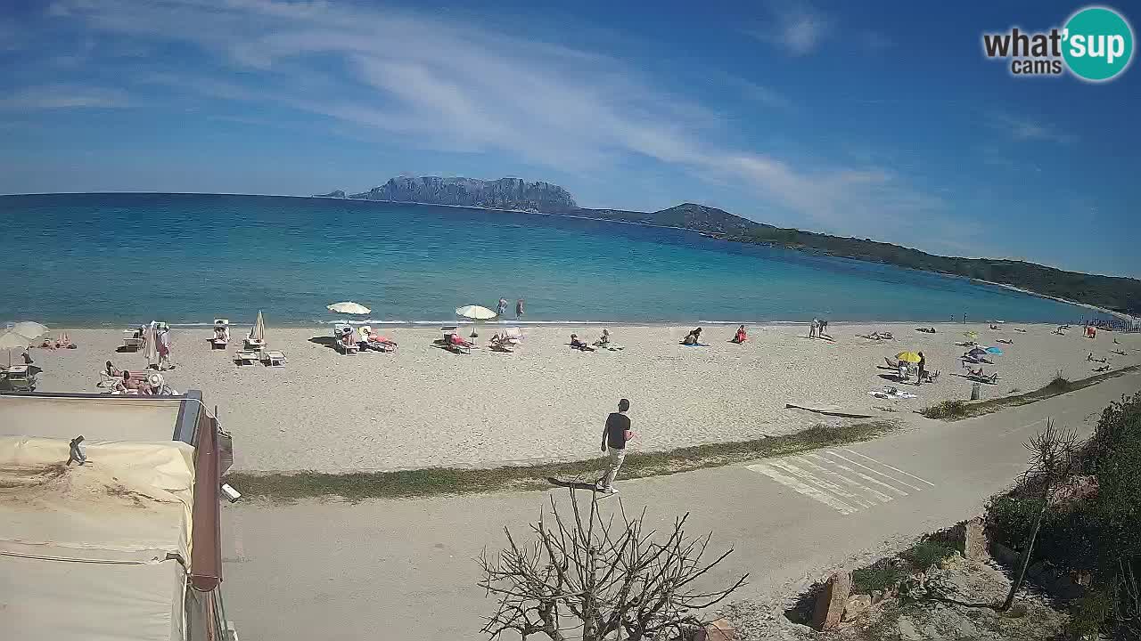La plage de Pittulongu en direct webcam Olbia – Sardaigne – Italie