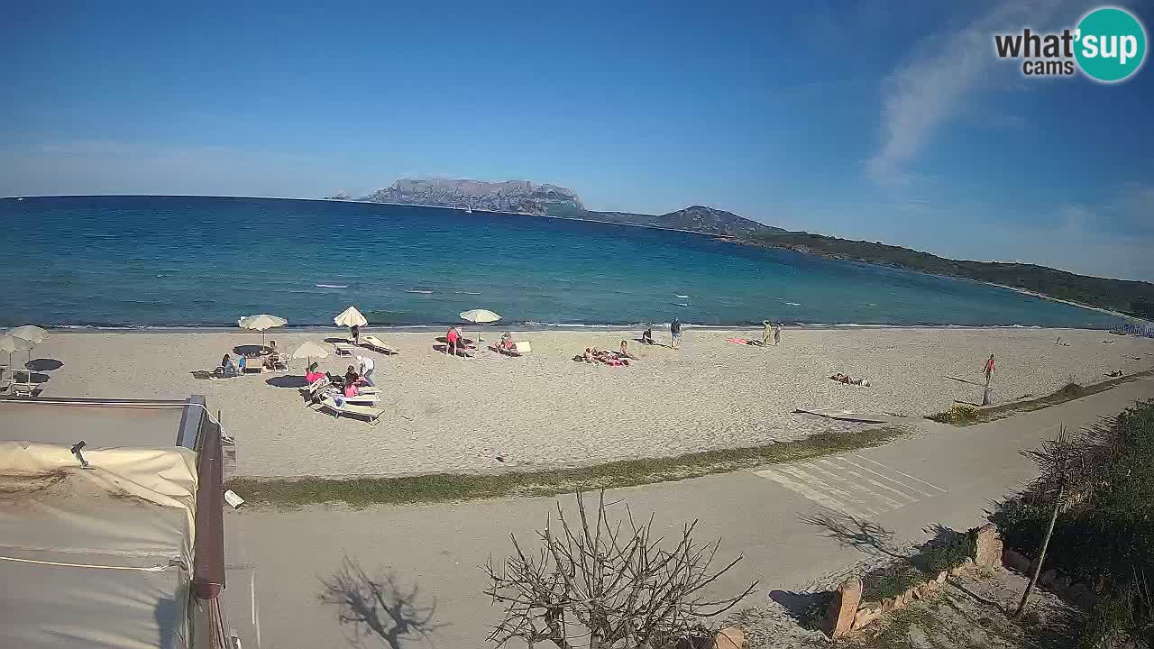 La playa de Pittulongu webcam en vivo Olbia – Cerdeña – Italia