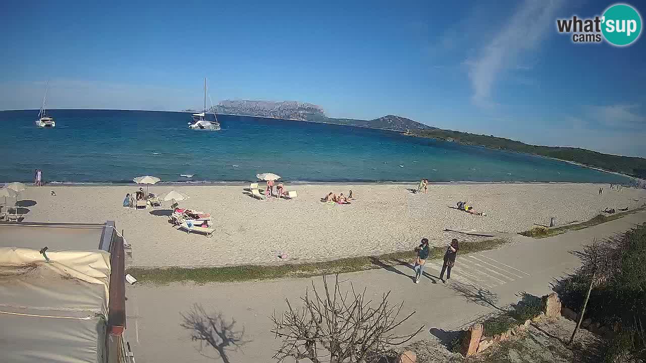 The beach of Pittulongu live webcam Olbia – Sardinia – Italy