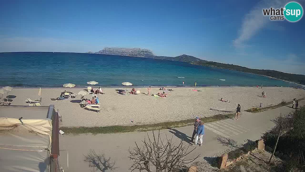 The beach of Pittulongu live webcam Olbia – Sardinia – Italy