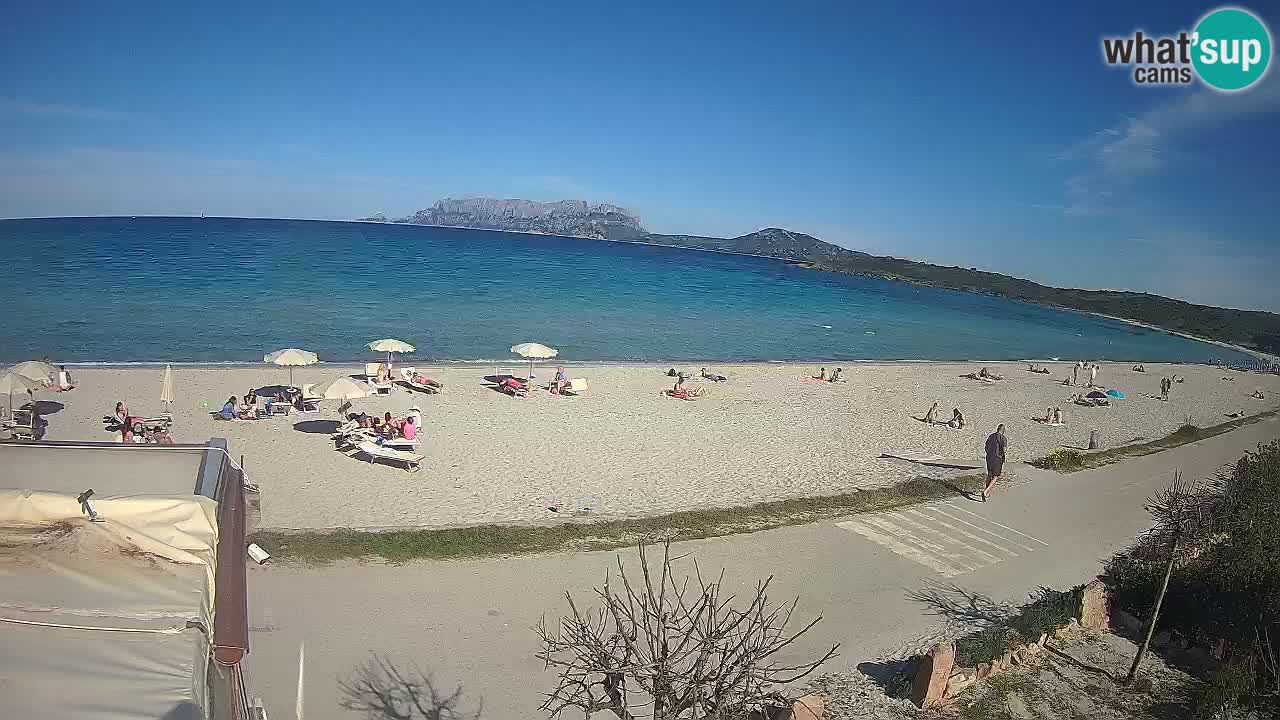 The beach of Pittulongu live webcam Olbia – Sardinia – Italy