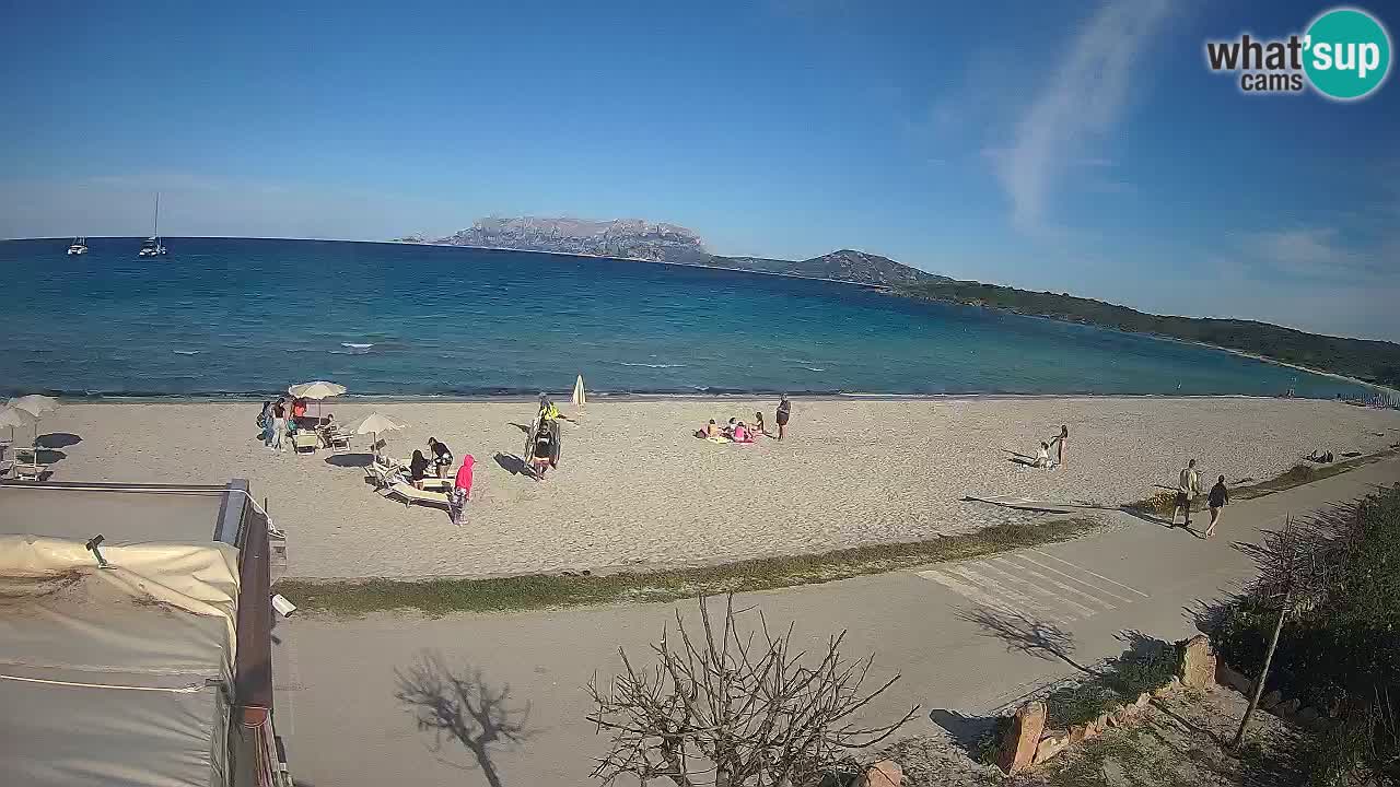 La plage de Pittulongu en direct webcam Olbia – Sardaigne – Italie