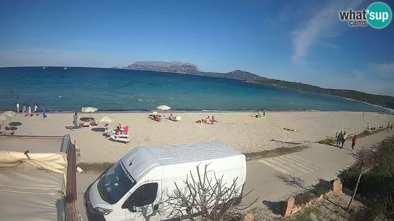 The beach of Pittulongu live webcam Olbia – Sardinia – Italy