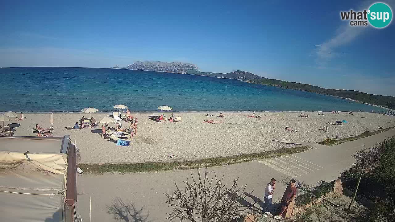 La webcam spiaggia Pittulongu vicino Olbia – Sardegna