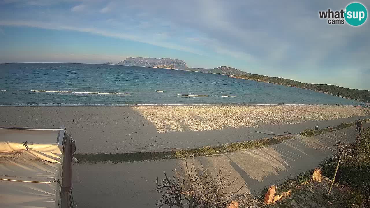 Der Strand von Pittulongu Live-Webcam Olbia – Sardinien – Italien