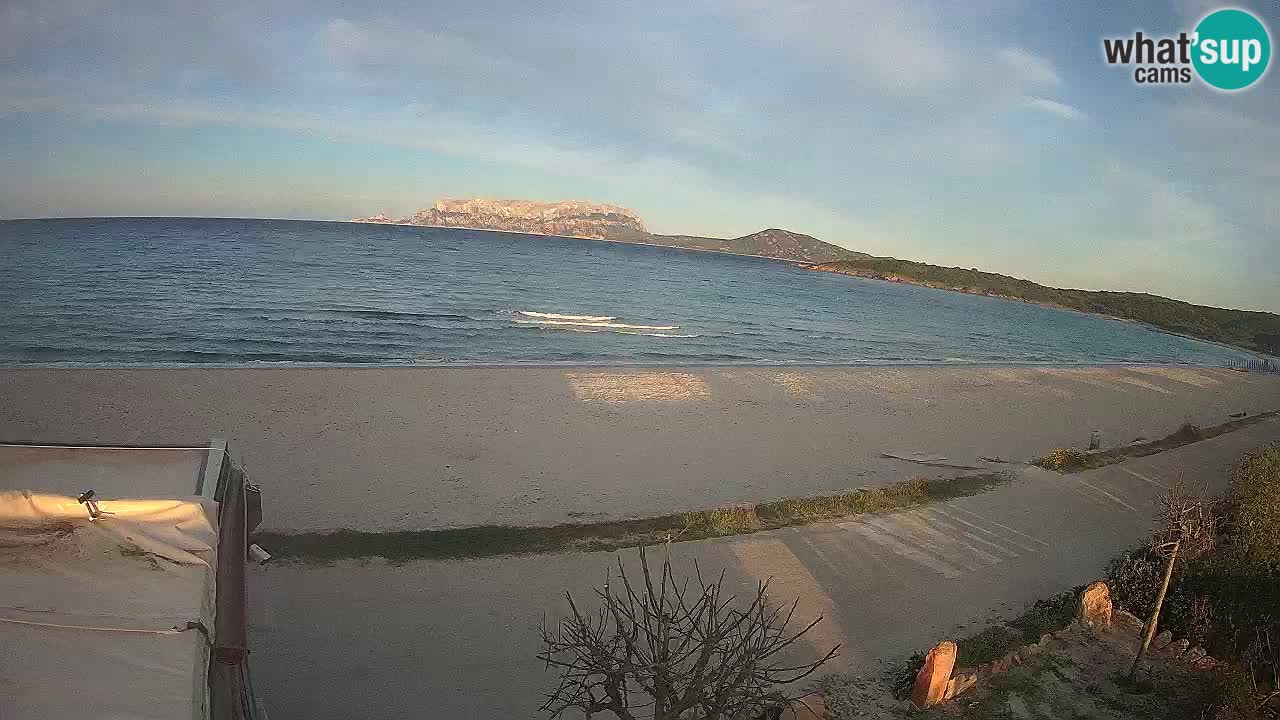 Der Strand von Pittulongu Live-Webcam Olbia – Sardinien – Italien