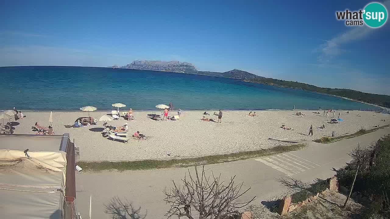 La plage de Pittulongu en direct webcam Olbia – Sardaigne – Italie