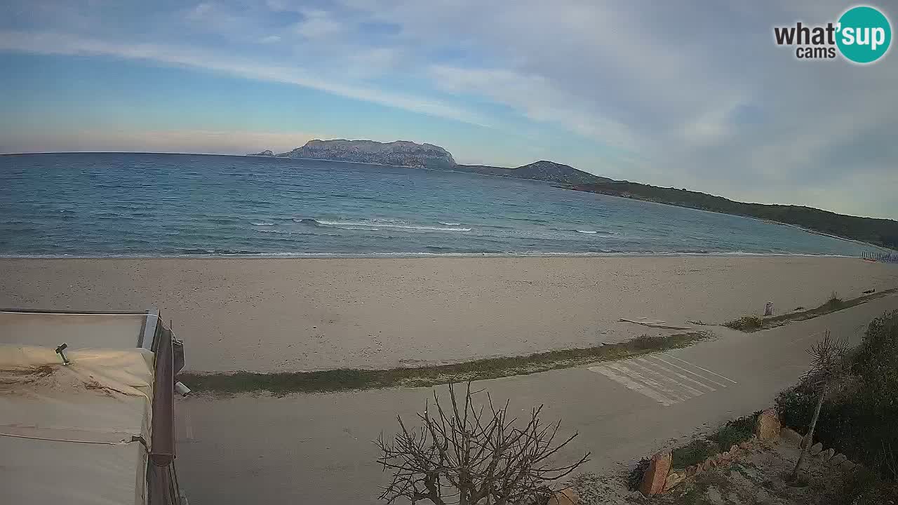Der Strand von Pittulongu Live-Webcam Olbia – Sardinien – Italien