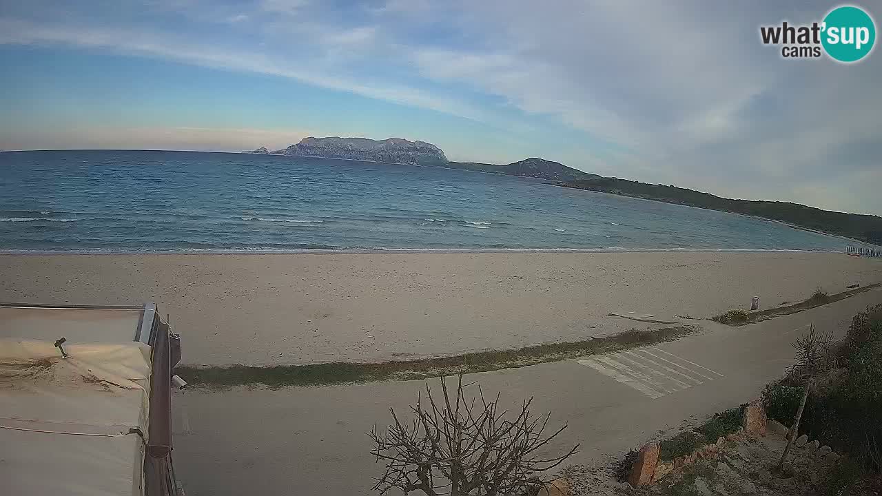 Der Strand von Pittulongu Live-Webcam Olbia – Sardinien – Italien