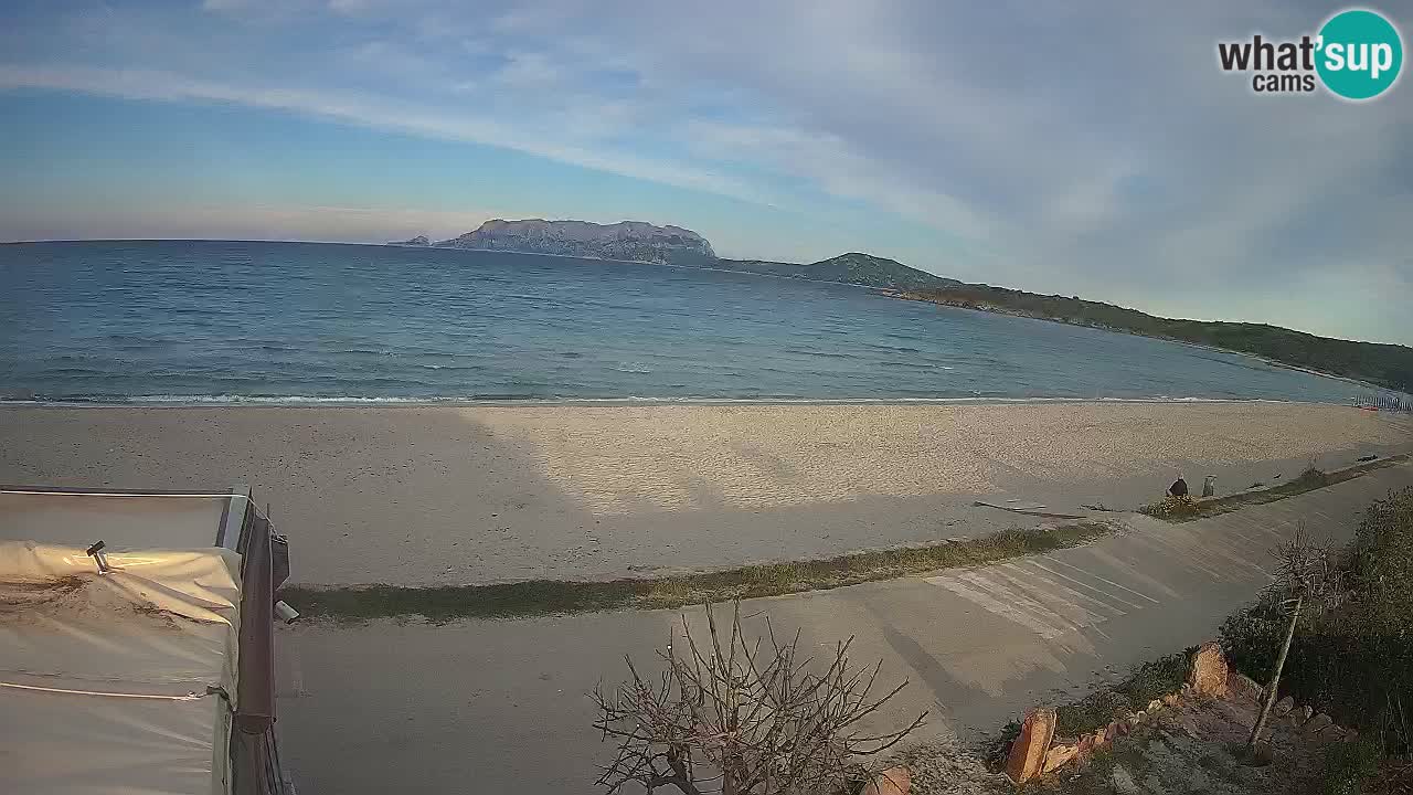 Der Strand von Pittulongu Live-Webcam Olbia – Sardinien – Italien