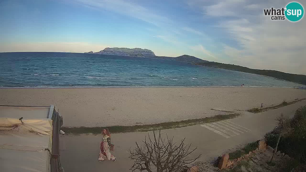 La plage de Pittulongu en direct webcam Olbia – Sardaigne – Italie