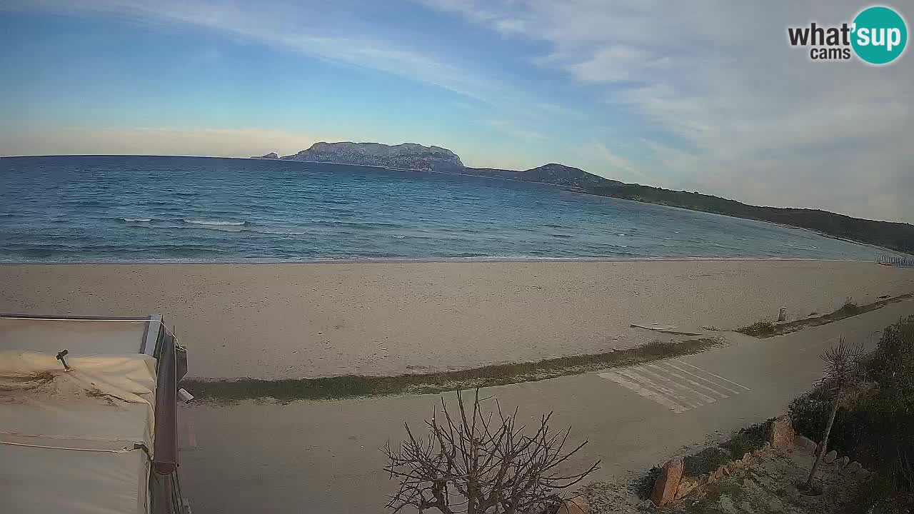 The beach of Pittulongu live webcam Olbia – Sardinia – Italy