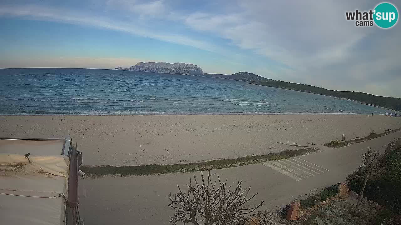 The beach of Pittulongu live webcam Olbia – Sardinia – Italy