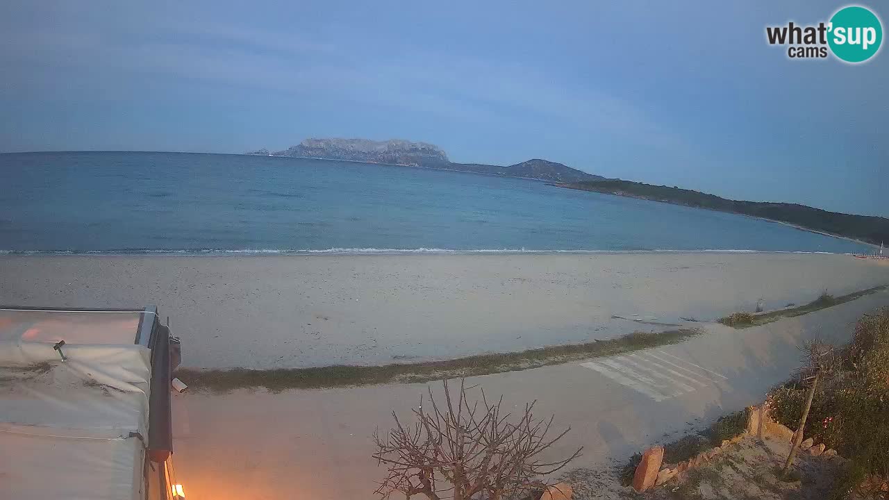 Der Strand von Pittulongu Live-Webcam Olbia – Sardinien – Italien