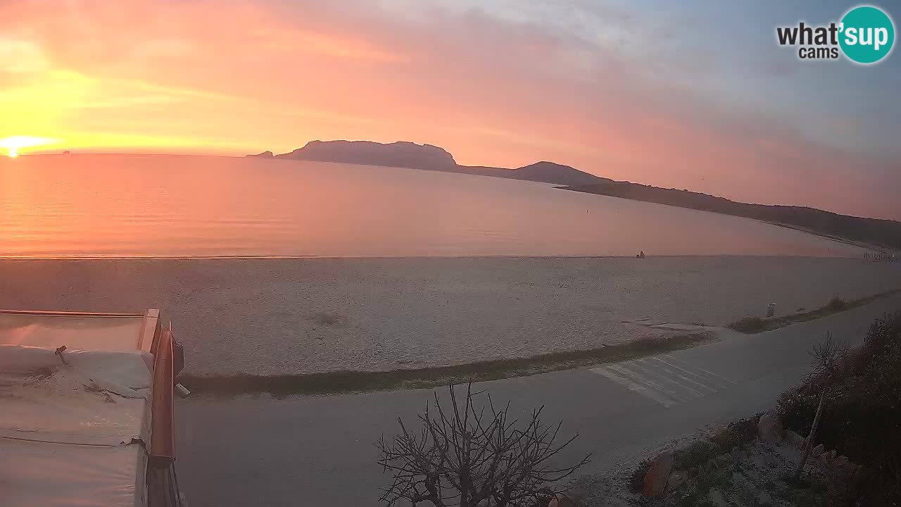 The beach of Pittulongu live webcam Olbia – Sardinia – Italy