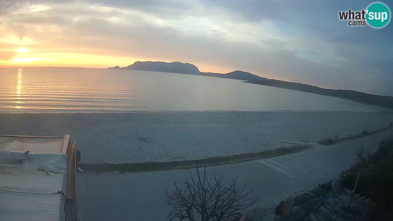 The beach of Pittulongu live webcam Olbia – Sardinia – Italy