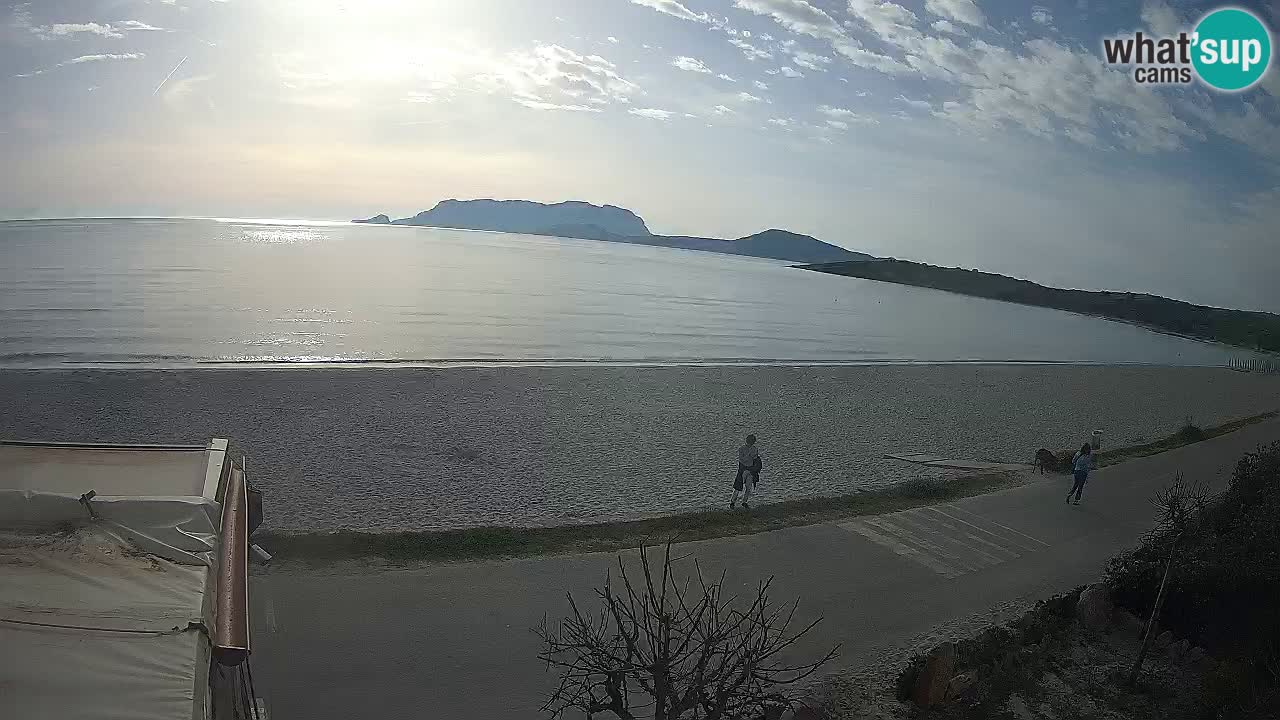 Plaža Pittulongu spletna kamera v živo Olbia – Sardinija – Italija