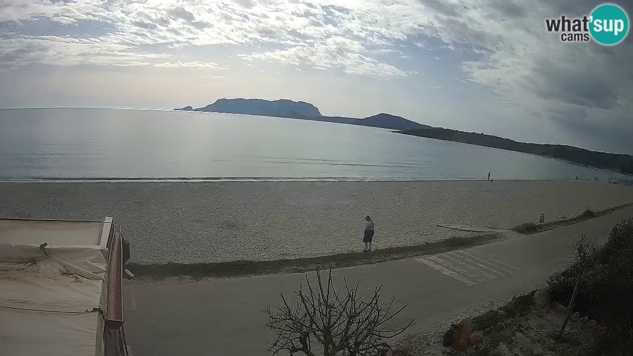 Der Strand von Pittulongu Live-Webcam Olbia – Sardinien – Italien