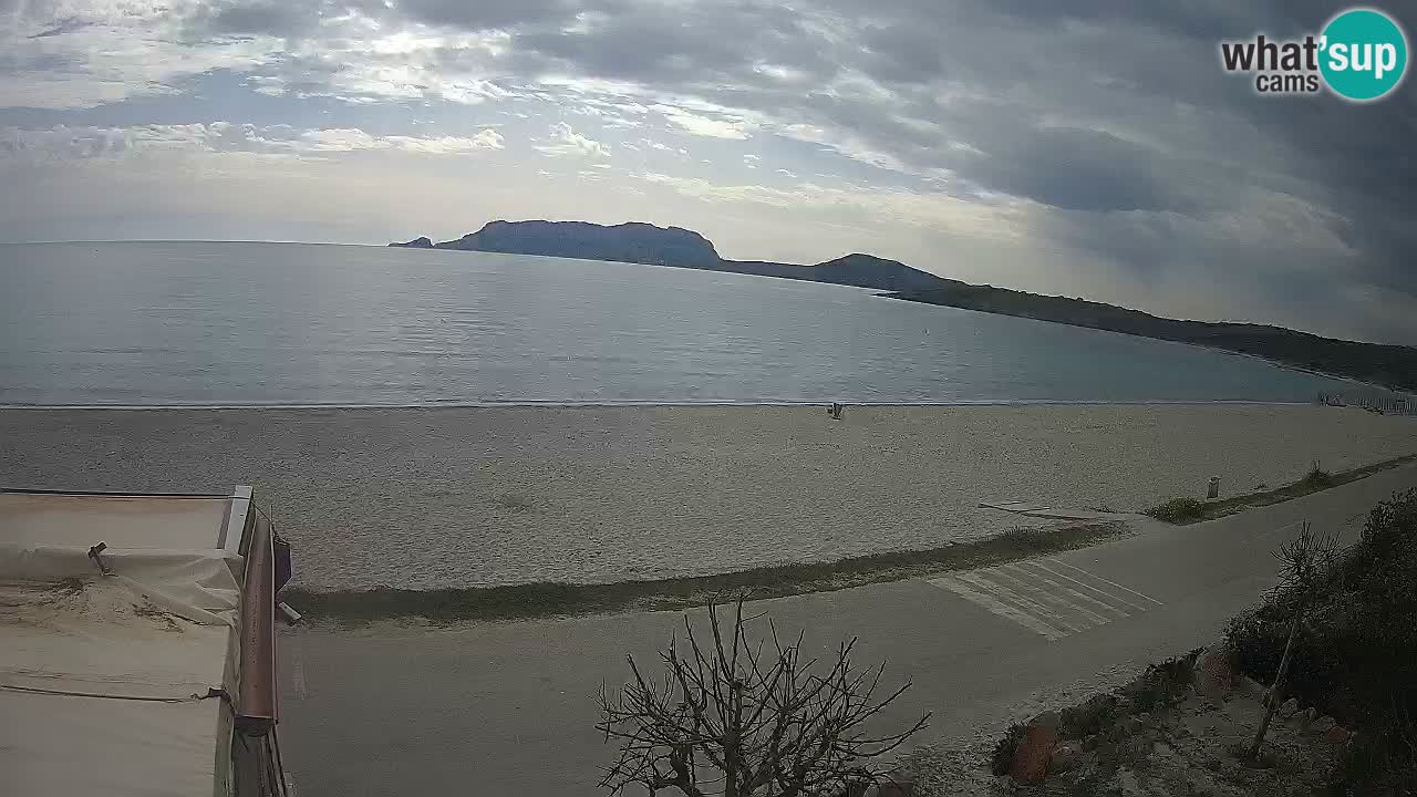 The beach of Pittulongu live webcam Olbia – Sardinia – Italy