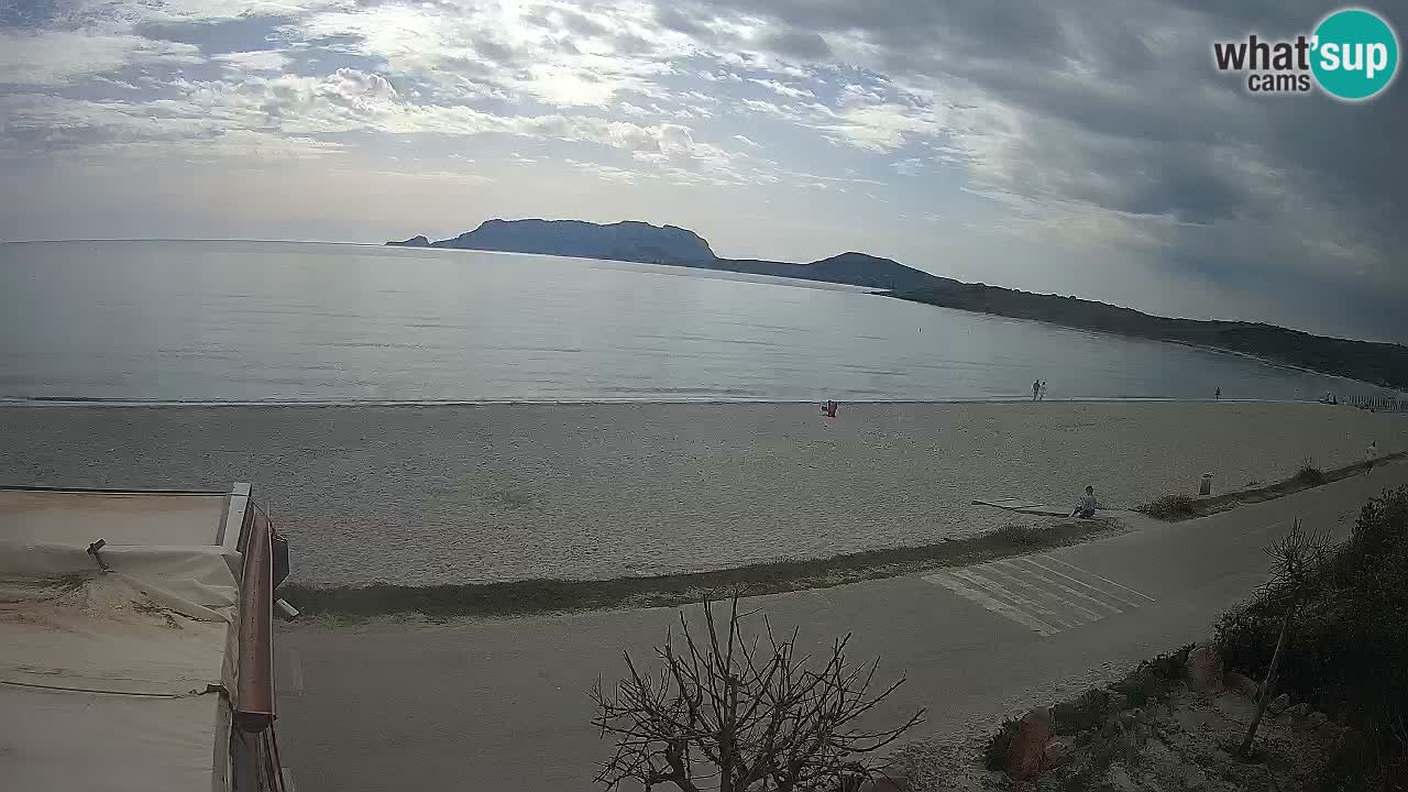 The beach of Pittulongu live webcam Olbia – Sardinia – Italy
